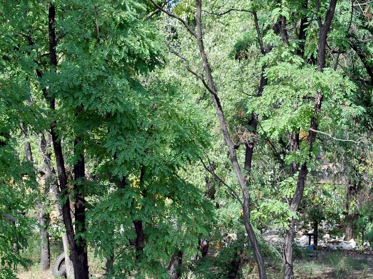 Hostel Darnitsa1 키예프